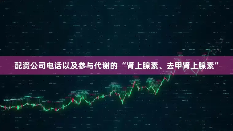 配资公司电话以及参与代谢的 “肾上腺素、去甲肾上腺素”