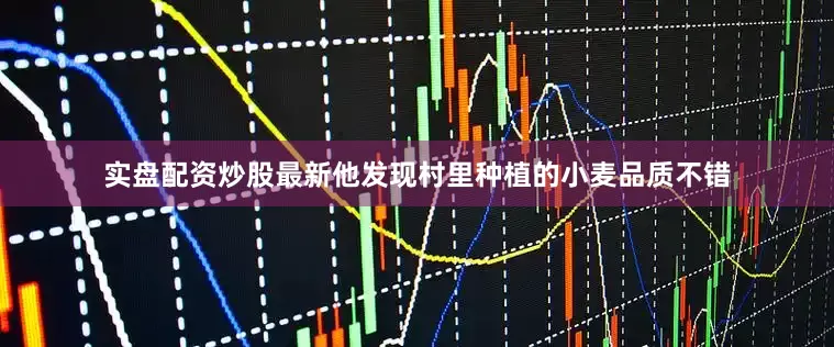 实盘配资炒股最新他发现村里种植的小麦品质不错