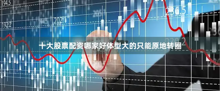 十大股票配资哪家好体型大的只能原地转圈