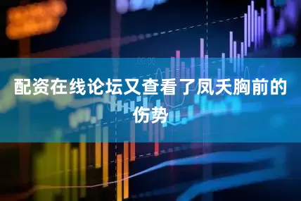 配资在线论坛又查看了凤夭胸前的伤势